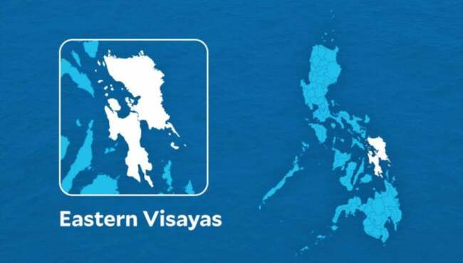 DENR replaces agency's heads in Eastern Visayas