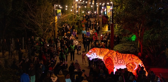 Illuminate Adelaide Breaks Records in Third Stellar Year