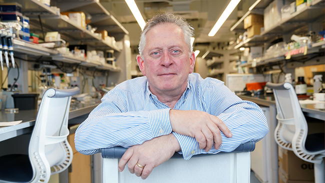 Chemical Compounds' Crucial Role in Plant Development Discovered