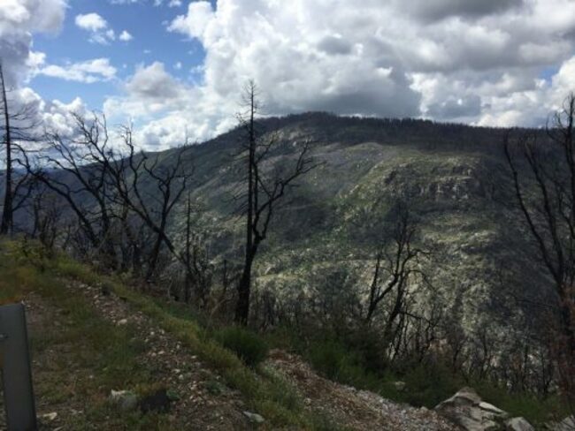 TC Supervisors To Discuss Fire Insurance Shortfalls And Rim Fire