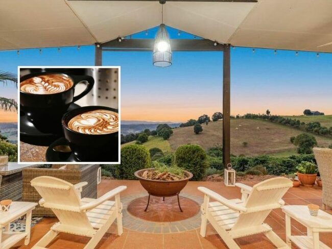 Property west of Byron Bay comes with 4500 coffee trees