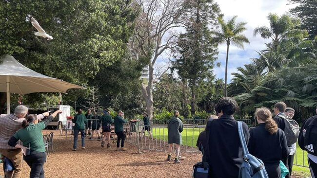 South Perth, WA: Ape escape prompts zoo evacuation