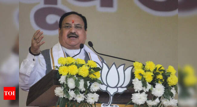 kerala: Kerala turning into unlawful state under CM Vijayan Pinarayi: Nadda