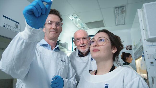 Booster Shot in Development to Combat Koala Chlamydia