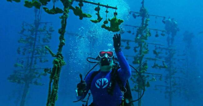 Our planet in hot water