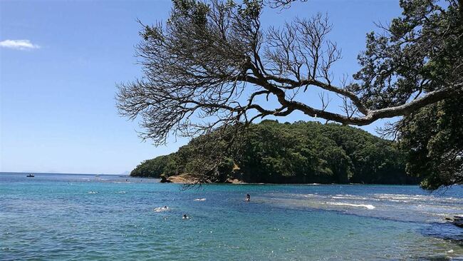 Govt Triples Hauraki Gulf Protection for Future Conservation