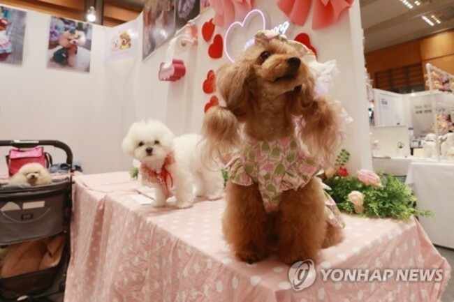 S. Korea to expand market for pet products to 15 tln won by 2027