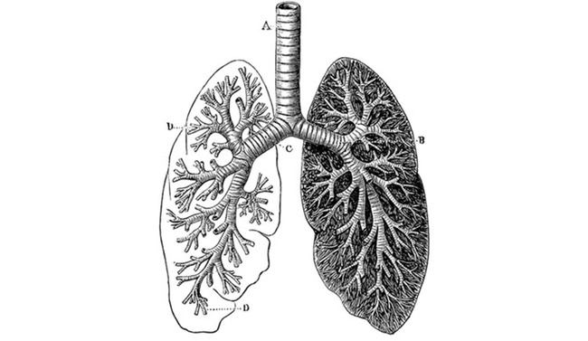 Answering Key Question Essential to Treating Similar Conditions