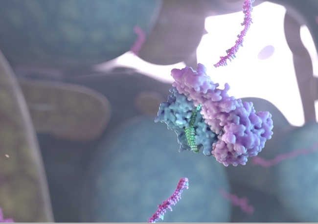 Universal siRNA Covid treatment shows promise in lab