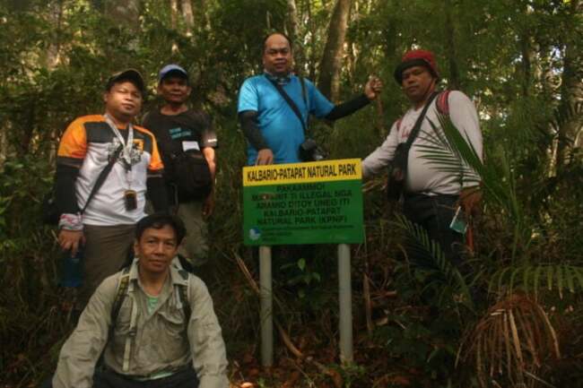 Energy Development Corporation rescues 17 endangered native tree species in Ilocos Norte and Palawan