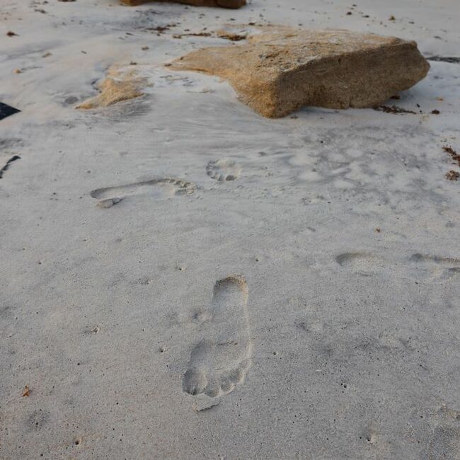 Human Environmental DNA Promises Public Good Opportunities