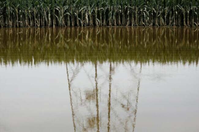 China floods hit rice, corn crops; trigger food inflation worries