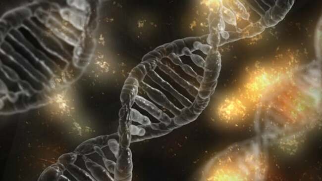 135 New Melanin Genes Linked to Pigmentation Identified
