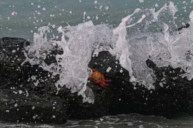 How El Nino could impact health, food and the economy
