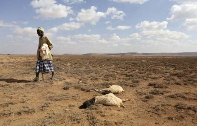 How El Niño could impact health, food and the economy