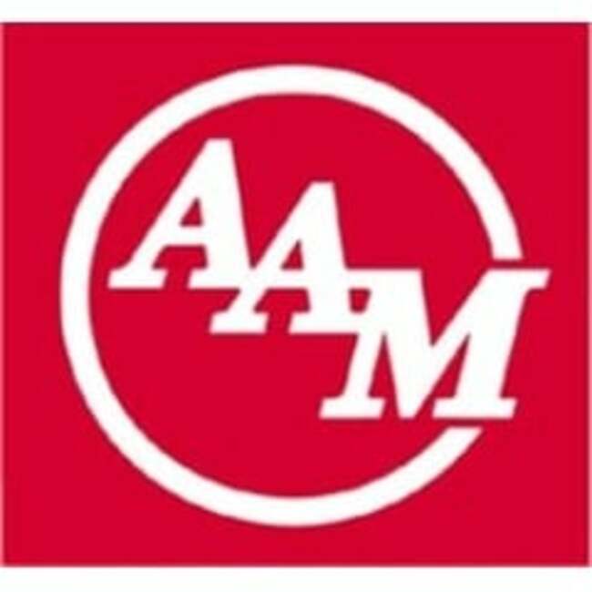 S&T Bank PA Acquires 43,274 Shares of American Axle & Manufacturing Holdings, Inc. (NYSE:AXL)