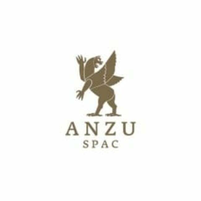 B. Riley Financial Inc. Invests $255,000 in Anzu Special Acquisition Corp I (NASDAQ:ANZU)
