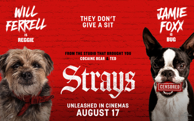 Win tickets to Strays the movie!