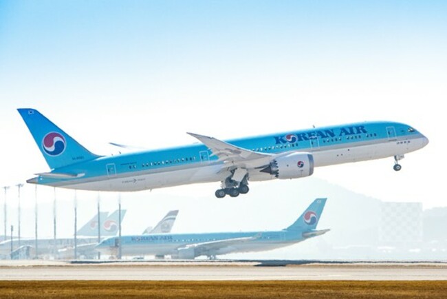 Korean Air flight turns back due to landing gear issues