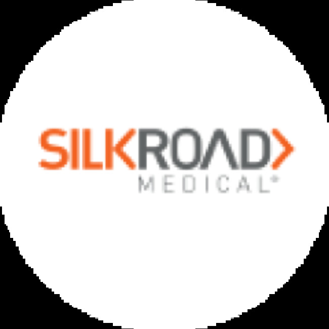 Silk Road Medical (NASDAQ:SILK) Hits New 1-Year Low on Analyst Downgrade