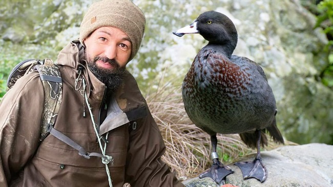 Biggest threat to NZ wildlife comes as a surprise to some
