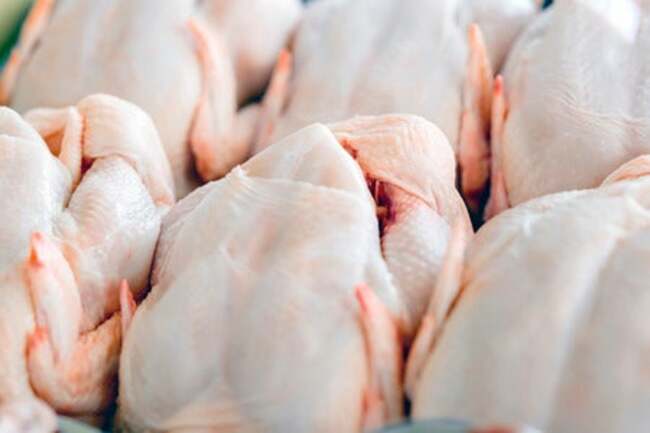PH bans Dutch poultry due to bird blue outbreak