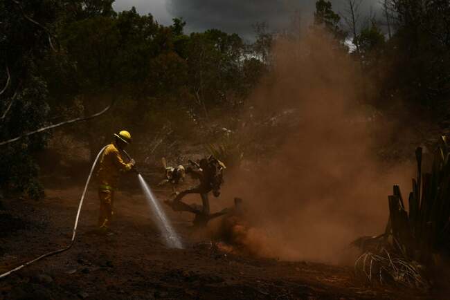 Hawaii fire death toll hits 99, may double, warns governor