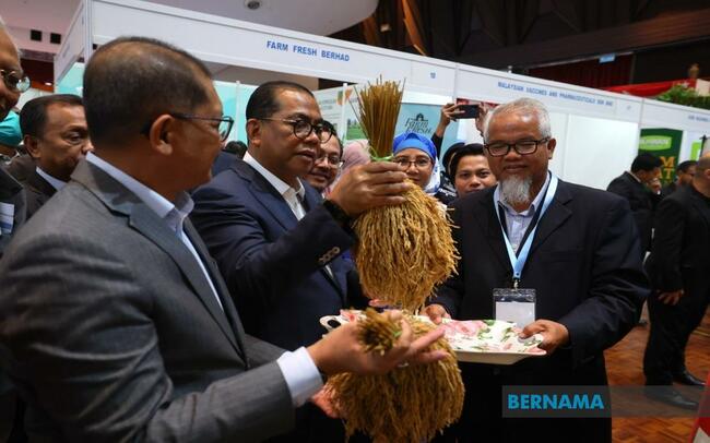 UPM INTRODUCES TWO NEW PADI VARIETIES