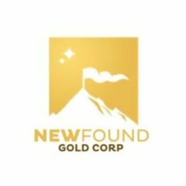 Head-To-Head Review: New Found Gold (NYSE:NFGC) vs. McEwen Mining (NYSE:MUX)