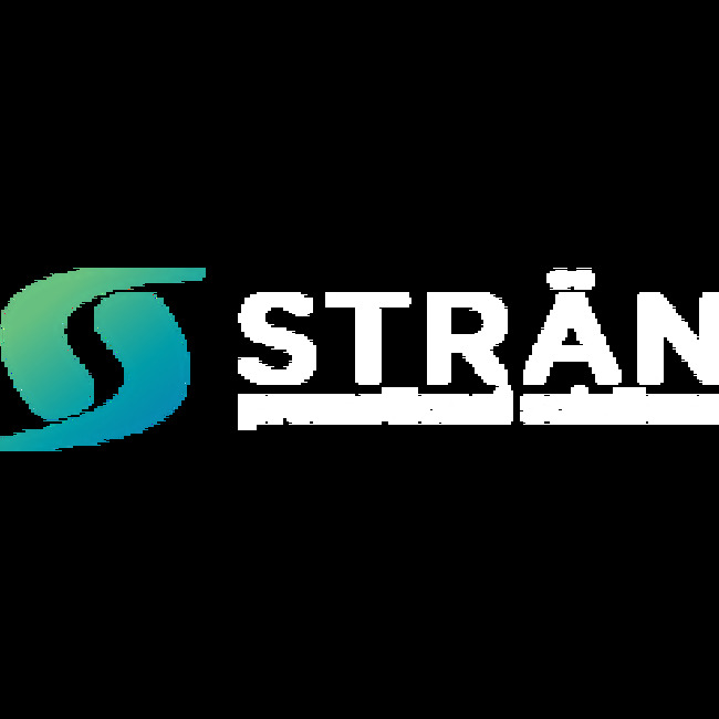 Stran & Company, Inc. (NASDAQ:SWAG) Announces Earnings Results, Misses Expectations By $0.02 EPS