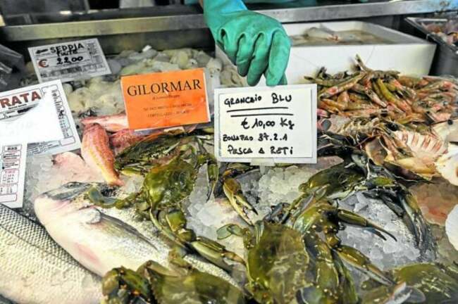 Italy's clam farmers fear blue crab ‘invasion'