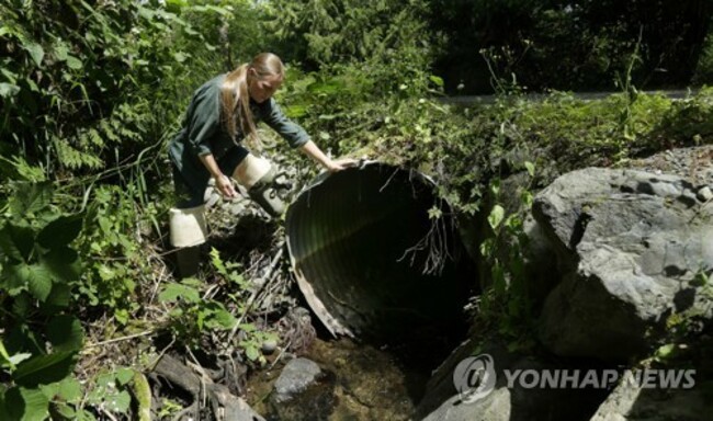 Roads-Fish Passage