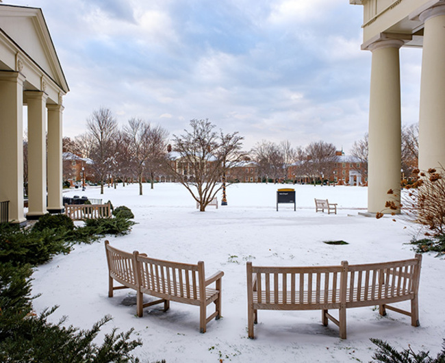 Wake Forest Debuts Digital Guide for Art Collections, Exhibitions