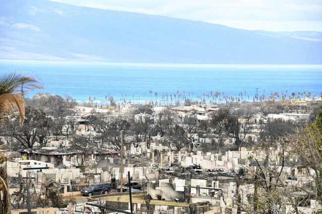 Leader in Maui relief efforts sees model in post-tsunami Japan