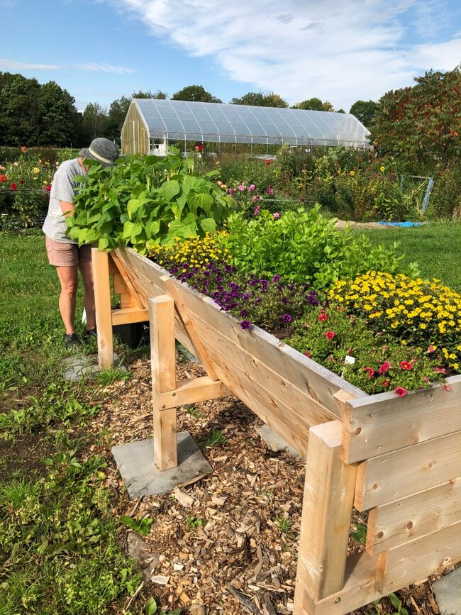 UMaine Extension accepting applications for Master Gardener ...