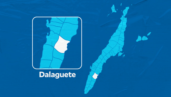 Dalaguete: Farmer stabs, kills elder brother after a heated argument
