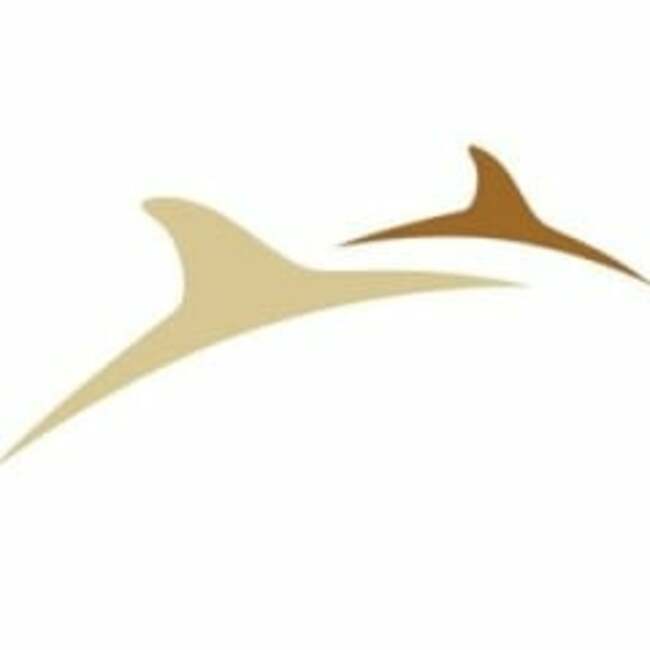 NorthIsle Copper and Gold (CVE:NCX) Shares Down 5.9%