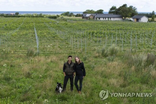 Climate Sweden Wine