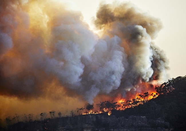Prepare for Bushfire Season, Worse Yet to Come