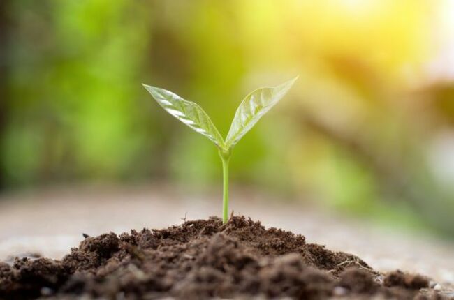 Realising vision for sustainable agri-food system