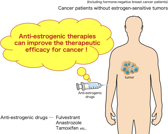 Anti-Estrogenic Therapies Effective on Estrogen-Negative Cancers
