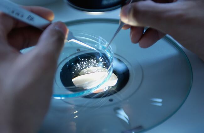 Challenges Cause Lasting Changes in Our Brains