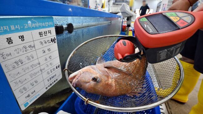 Japan's Plan to Release Fukushima Nuclear Plant Water Spurs Concerns