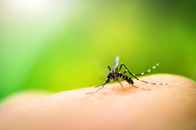Researcher Receives $1M to Battle Climate Change Health Risks