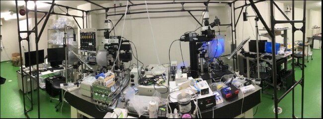 Mouse Metaverse: New Tool Decodes Autism's Molecular Mechanism