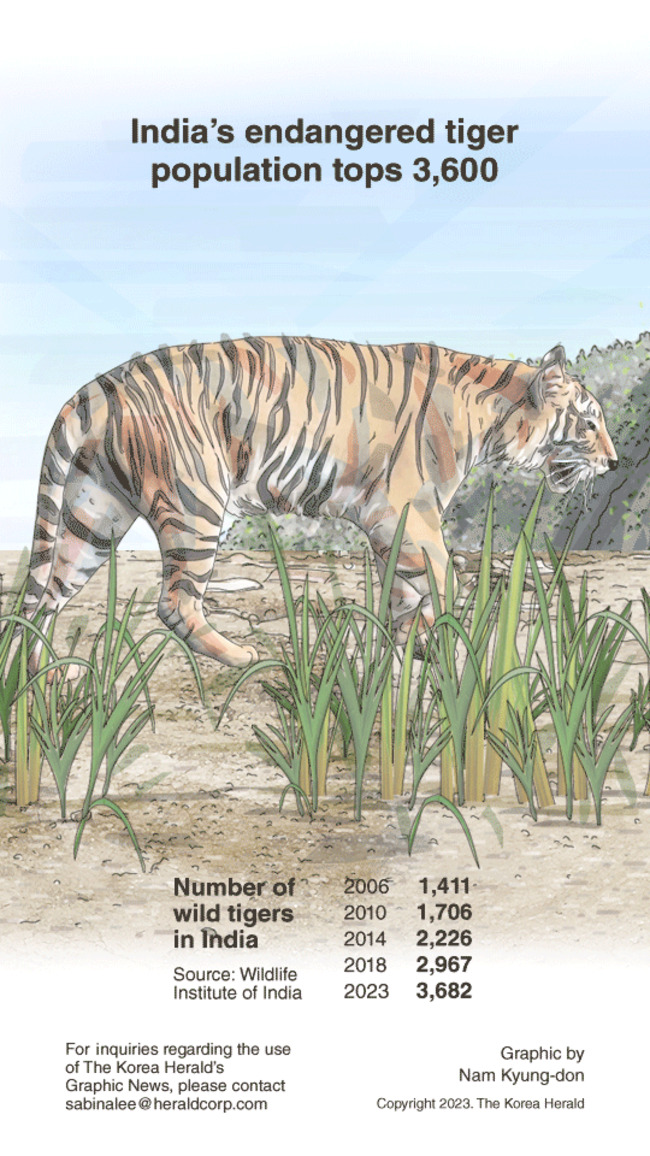 [Graphic News] India's endangered tiger population tops 3,600