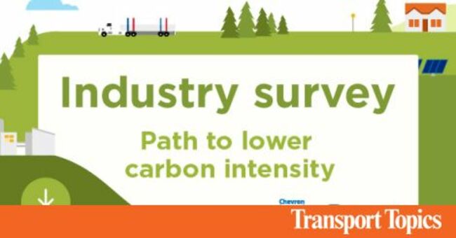 Industry Survey: Path to Lower Carbon Intensity
