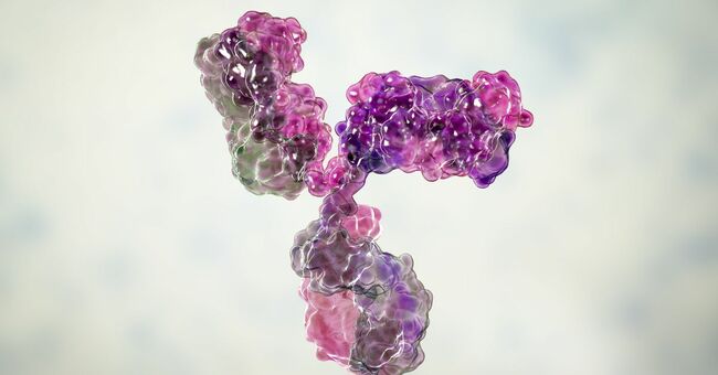 Antibodies aren’t the whole story