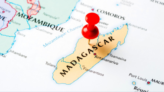 Stampede at Madagascar's national stadium kills 12, injures around 80 – PM