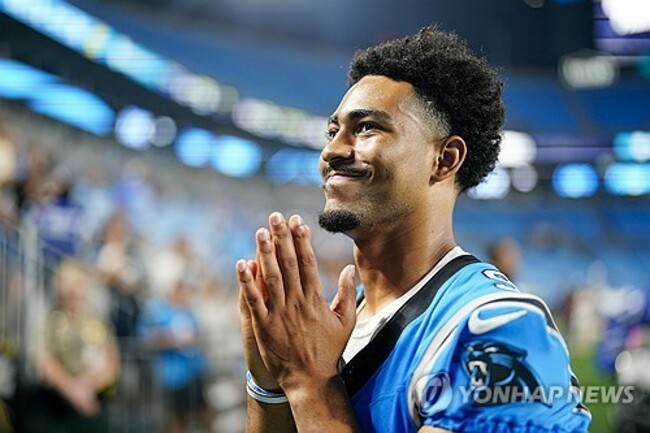 APTOPIX Lions Panthers Football